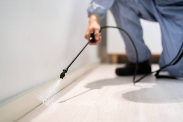Licensed Cockroach Control service in Forest, OH - Nex Pest Control