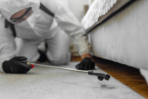 Professional Cockroach Control technician working in Forest, OH