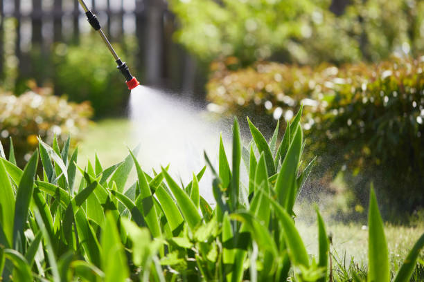 24/7 Emergency Cockroach Control experts in Forest, OH