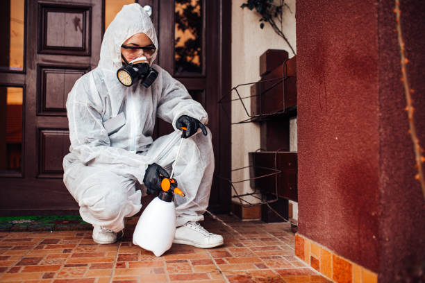 Reliable Cockroach Control contractor in Forest, OH by Nex Pest Control
