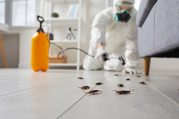 Affordable Cockroach Control solutions in Forest, OH