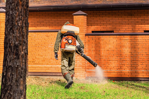 Top rated local Cockroach Control specialists in Forest, OH